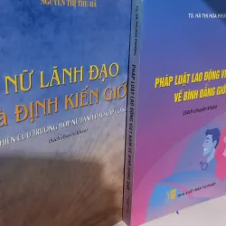 Pháp luật lao động Việt Nam về bình đẳng giới 