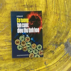 CỜ TƯỚNG TÀN CUỘC DIỆU THỦ LIÊN HOA - công sĩ