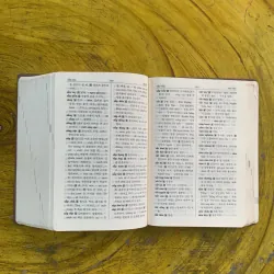 TỪ ĐIỂN VIỆT - HÀN bìa da  1002948