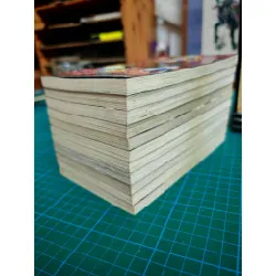 Truyện tranh Thợ Săn Phù Thủy - Cho Jung Man 682399