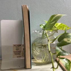 Bầu trời không chỉ có màu xanh- Lý Quí Trung 752117