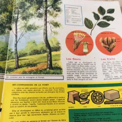 TẠP CHÍ TOUT L’UNIVERS – 1964 (1) 1017501