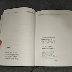 NGANG QUA CÁNH ĐỒNG - THƠ HOÀNG QUÝ 729317