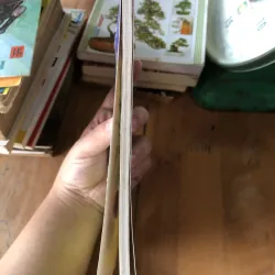 Chín bậc cầu thang 973618