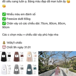 Chân váy số 3