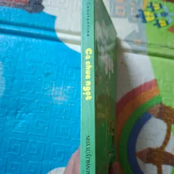 Cà chua ngọt 795952