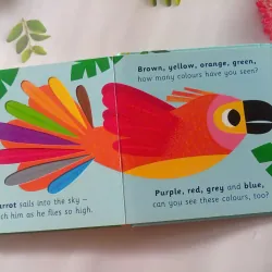 Hello, Orange Tiger 993538