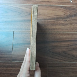 Cánh tay nữ thần (truyện ngắn mông cổ) 506401