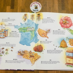 Set sách tranh cho bé 아이성장 그림책   496934