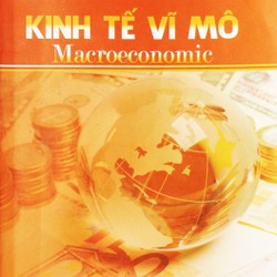 Kinh tế Vĩ mô (Macroeconomic)