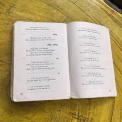 CA DAO TRỮ TÌNH VIỆT NAM 735516