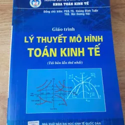 GIÁO TRÌNH LÝ THUYẾT MÔ HÌNH TOÁN KINH TẾ 929100