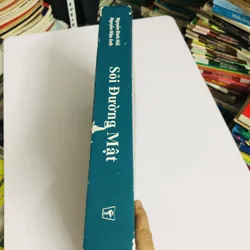 📘 SỎI ĐƯỜNG MẬT – Nguyễn Đình Hối & Nguyễn Mậu Anh 700887