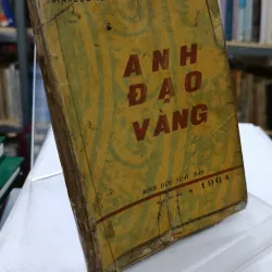 ÁNH ĐẠO VÀNG - VÕ ĐÌNH CƯỜNG