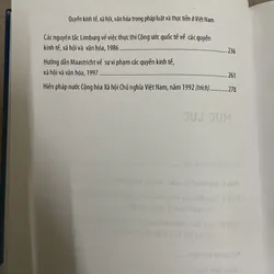 🛍 Quyền Kinh Tế – Xã Hội – Văn Hóa Trong Pháp Luật Và Thực Tiễn Ở Việt Nam 728136