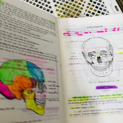 BỘ 2 TẬP GIẢI PHẪU HỌC  799119