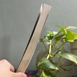 Chờ em lớn nhé được không ? 787620