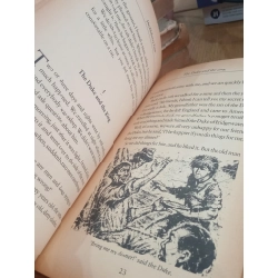The Adventure of Huckleberry Finn - Mark Twain 523019
