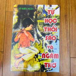 Tự học thổi sáo và ngâm thơ - Tô Kiều Ngân