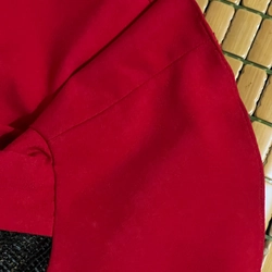 Váy màu đỏ đô 509154