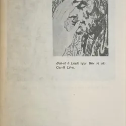 Đan-tê (Cu-Tô-Dôp) 777783