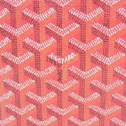 【Sản phẩm chưa sử dụng】Túi Goyard Poitiers 618586