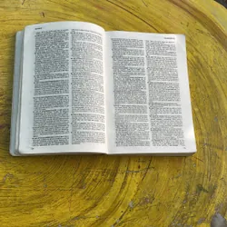 OXFORD DICTIONARY OF PHRASAL VERBS 576402