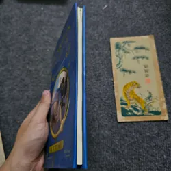 Quidditch qua các thời đại - Harry Potter 734063