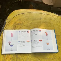 INTERNATIONAL MIXED DRINKS WITH OVER 300 OF THE WORLD’S BEST COCKTAIL MIXERS  778973