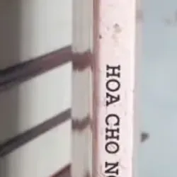 Hoa Cho Người Chưa Yêu 750723