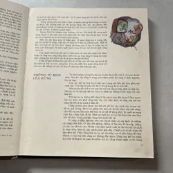 Con người trở thành người khổng lồ - 1982s 596511