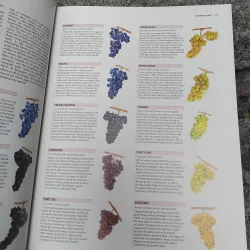 The world atlas of  wine 970849
