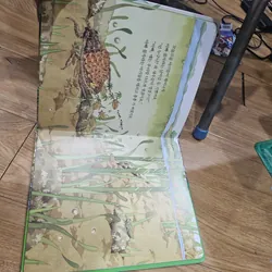 1q như hình
20k 674162