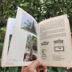 Bonsai Cây Kiểng Cổ - Trần Hợp 925345