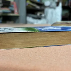 Ngồi khóc trên cây 🌊 592203