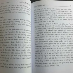 Luận Về Nhân Quả 702754