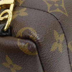 Balo Louis Vuitton Monogram Palm Springs MINI M41562 - Hàng hiệu Chính hãng 801585