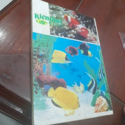 Bán nguyệt san KIẾN THỨC NGÀY NAY số 64 ngày 15-7-1991 491899