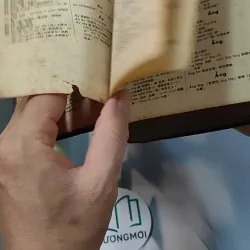 [MIỄN PHÍ BỌC SÁCH] Từ Điển Việt Hán Tối Tân 749553