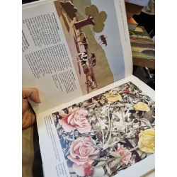 How To Discover Your Personal Painting Style : Learn to paint your ideas with insight, vigor and character in all mediums - David P. Richards 377073