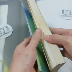 Tư Phàm - Công Tử Hoan Hỉ 744703