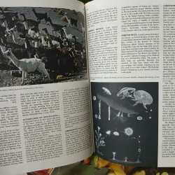 ENCYCLOPEDIA OF THE ANIMAL WORLD - BÁCH KHOA TOÀN THƯ VỀ THẾ GIỚI ĐỘNG VẬT (21 TẬP) 575435