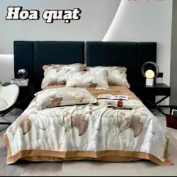 Bộ ga lụ thái 590777