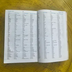 LONGMAN WORD WISE DICTIONARY 731919