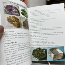 Nghệ thuật thưởng ngoạn đá cảnh 971284