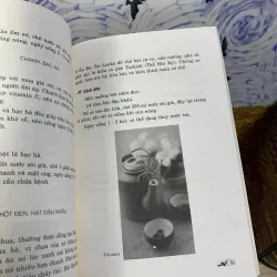 Trà Và Thảo Dược 748619