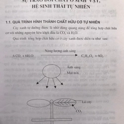 Công nghệ xử lý rác thải và chất thải rắn 471581