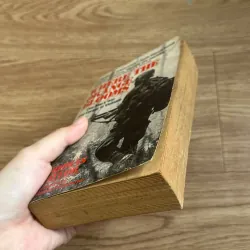 Where the Orange Blooms - Thomas Taylor 785145