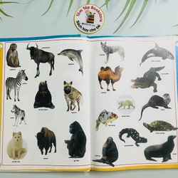 A Children’s Dictionary 545977