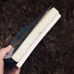 Combo đôi bạn chân tình + ảo hoá 990999